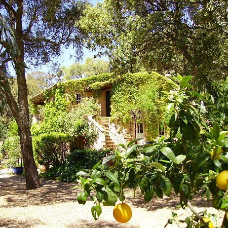 Bed and Breakfast Le Bastidon Saint-Michel Sainte-Maxime Exterior foto