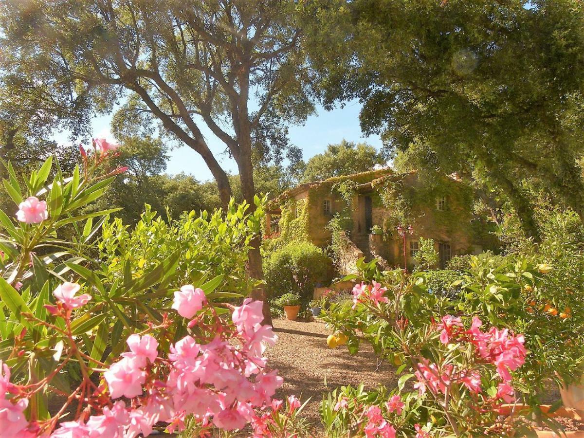 Bed and Breakfast Le Bastidon Saint-Michel Sainte-Maxime Exterior foto
