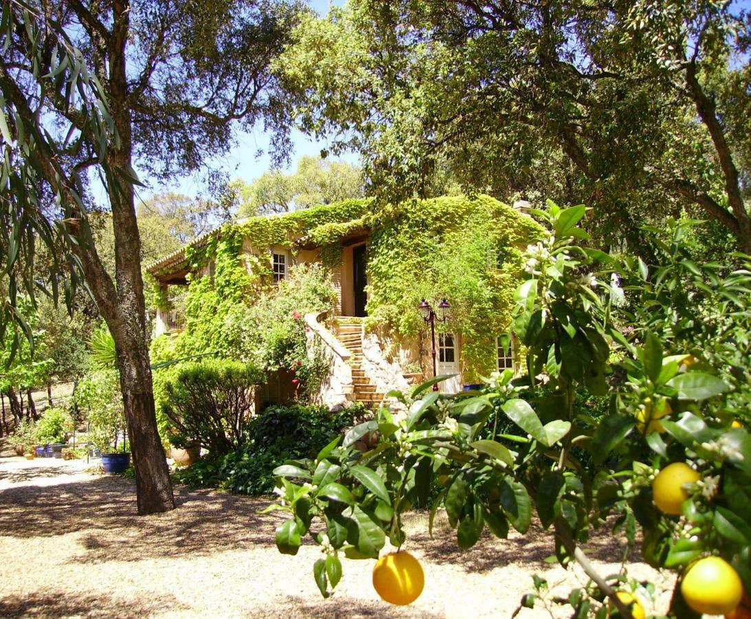 Bed and Breakfast Le Bastidon Saint-Michel Sainte-Maxime Exterior foto